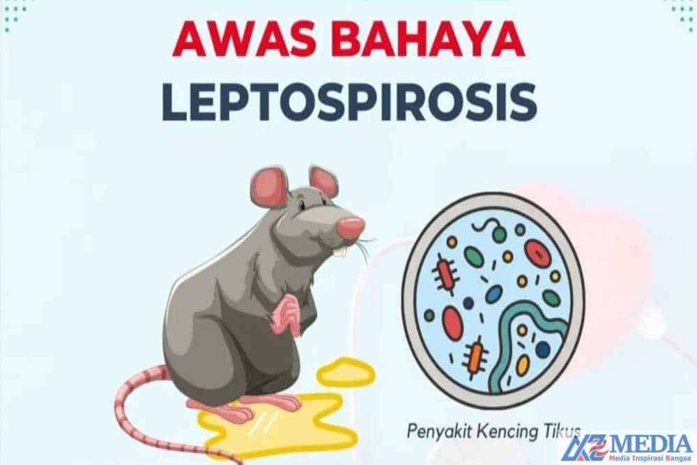 leptospirosis Gejala Leptospirosis di Tulungagung, 1 Warga Sumbergempol Meninggal Dunia