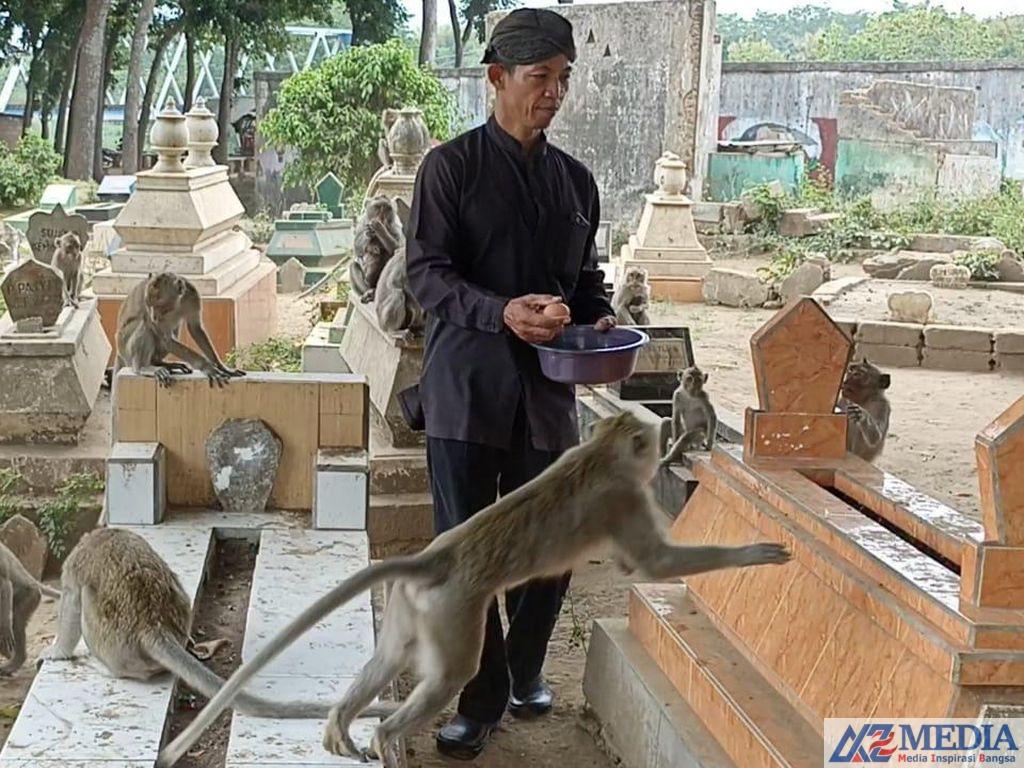 monyet ngujang tulungagung hidup di tengah kuburan 8 43 Di Luar Nalar,Monyet- monyet di Makam Ngujang Tulungagung Jelmaan Manusia