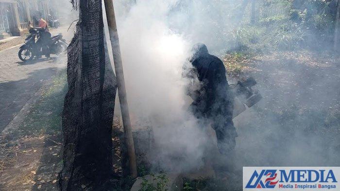 Fogging upaya memberantas nyamuk aedes aegypti penyebab demam berdarah dengue DBD Dinkes Catat Ada 6 Pasien Meninggal akibat DBD di Tulungagung.