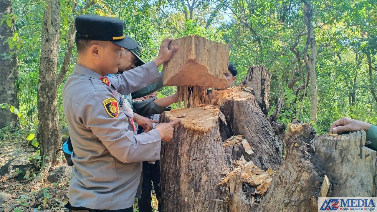 Polisi Berhasil Ungkap Kasus Ilegal Loging di Taman Nasional Baluran Situbondo 3 IMG 20230531 WA0001 Polisi Berhasil Ungkap Kasus Ilegal Loging di Taman Nasional Baluran Situbondo