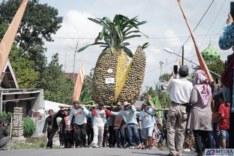 Pineaplle Festival