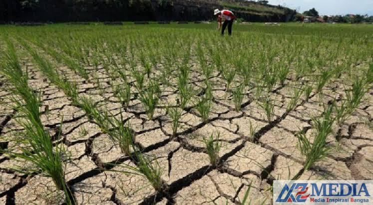 Peta Kekeringan di Kabupaten Tulungagung Bertambah Satu Desa 3 IMG 6196 Peta Kekeringan di Kabupaten Tulungagung Bertambah Satu Desa