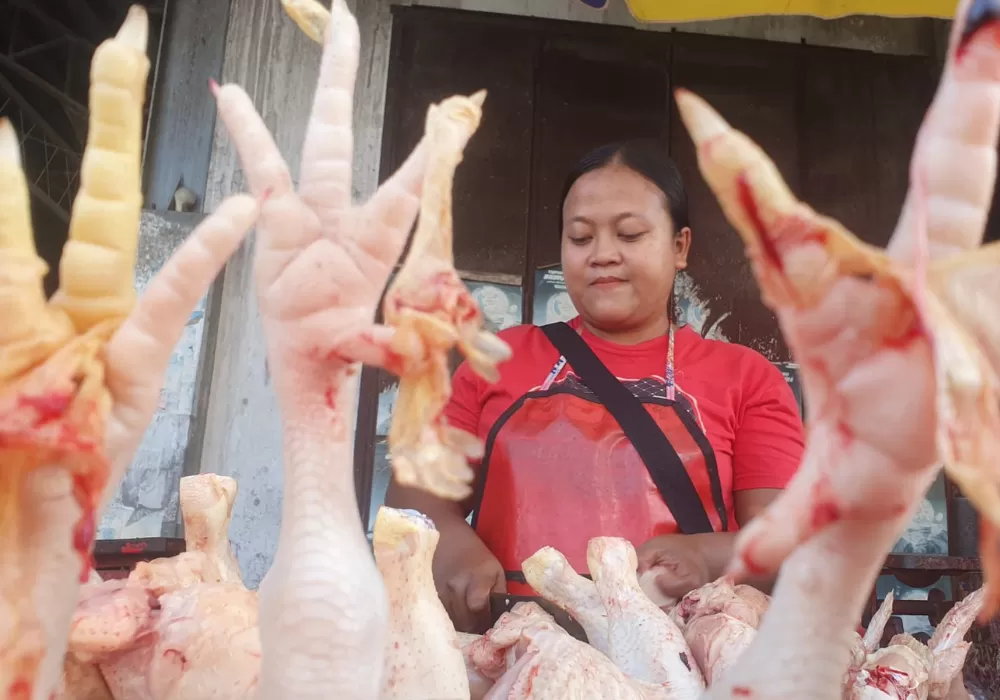 daging ayam 1257356758 Stok daging ayam terbatas menyebabkan harga merangkak naik di bulan ramadhan